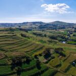 gozo green countryside in spring
