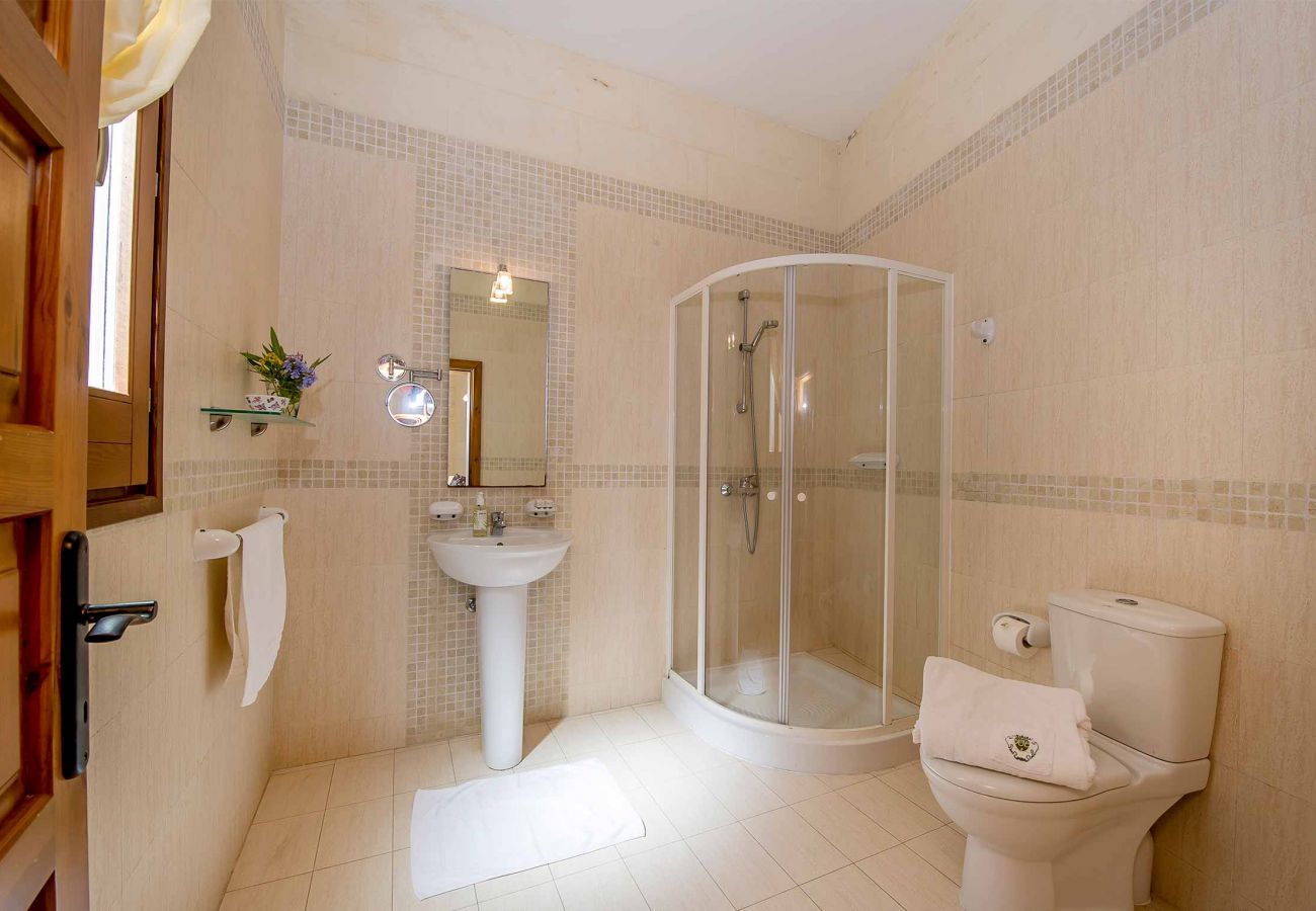 Country house in San Lawrenz - The Olives Holiday Home